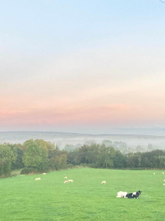 Dungiven Benbradagh Barnヴィラ エクステリア 写真